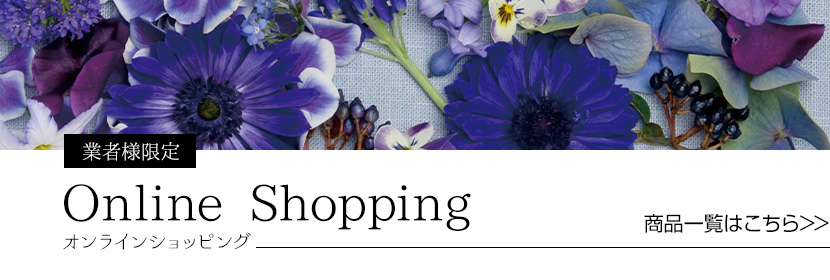 onlineshop02_banner