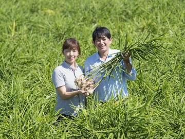 土佐の大生姜「龍馬しょうが」生産スタッフを募集！農作業や運搬のほか、SNSでの情報発信もお願いします☆【各種手当充実・新卒応募可】